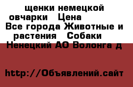 щенки немецкой овчарки › Цена ­ 15 000 - Все города Животные и растения » Собаки   . Ненецкий АО,Волонга д.